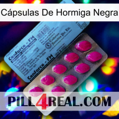 Cápsulas De Hormiga Negra 35